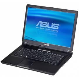 Notebook ASUS EP031C-schwarz