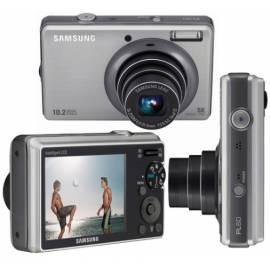 Digitalkamera SAMSUNG EG-PL60ZS Silber