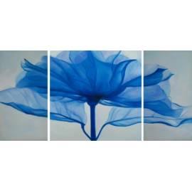 Bild-Satz-blaue Blume (413TH0072) Gebrauchsanweisung