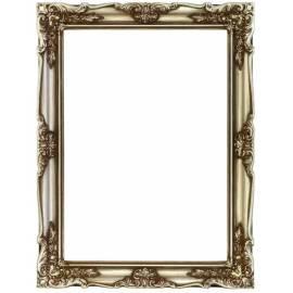 Einfaches Bild Frame-Silber (RO50753453) Bedienungsanleitung