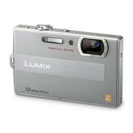 Digitalkamera PANASONIC DMC-FP8EP-S silber