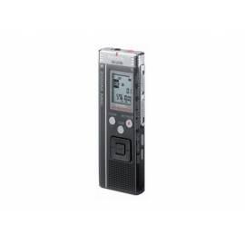 Datasheet PANASONIC Voice Recorder RR-US590E-K