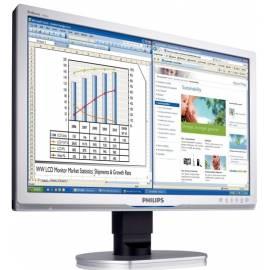 Monitor PHILIPS 240BW9CS (240BW9CS/00) grau