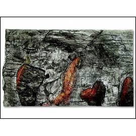 Der Hintergrund des Aquarium 60 x 30 cm 1pc (851-0328)