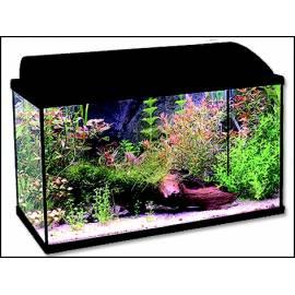 Service Manual Aquarium ANTE Set BALI 50 X 25 X 30 cm 1pc (C1-500)